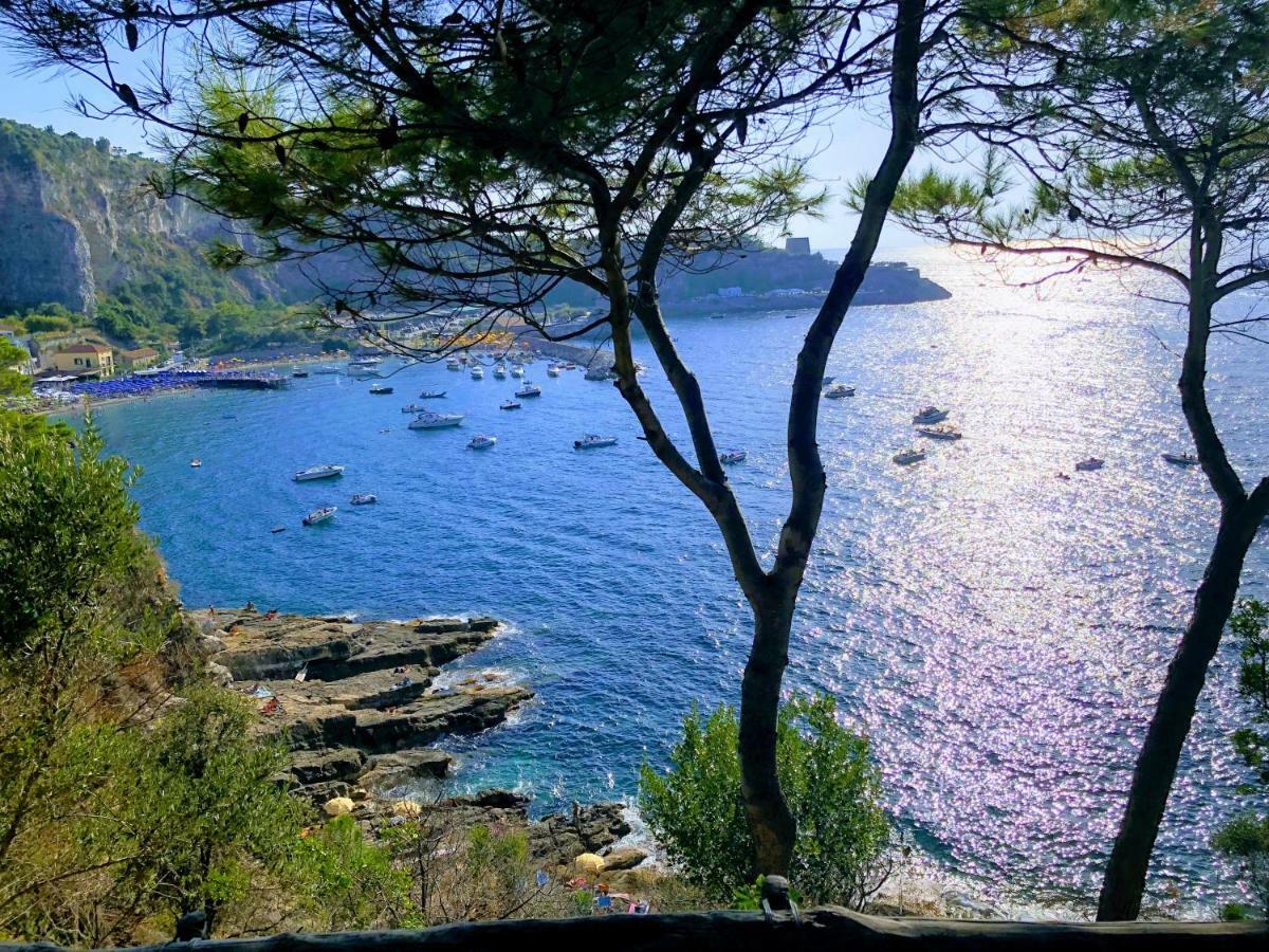 Le Muse Suite Sorrento Exteriér fotografie